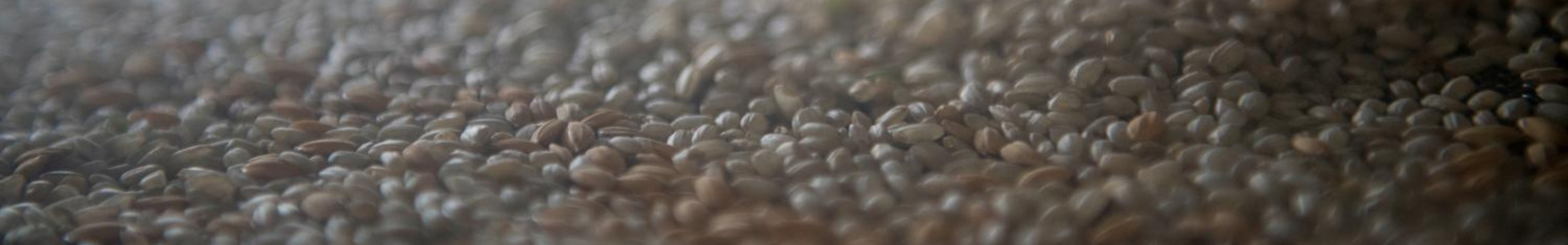 Le SEAT Arona est le premier véhicule avec des pièces en coque de riz.
