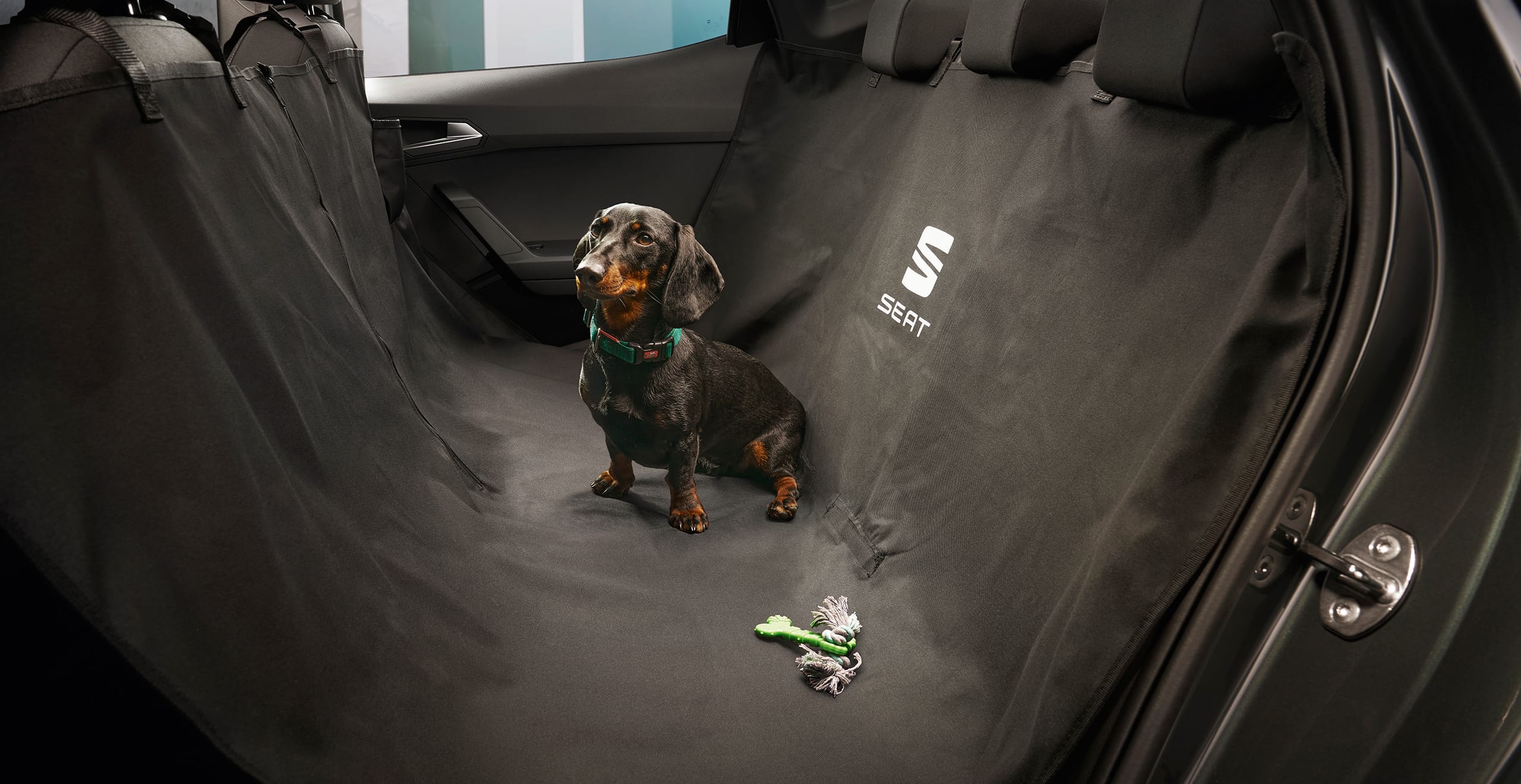 Hund im mit schützendem Sitzbezug ausgestatteten SEAT Arona