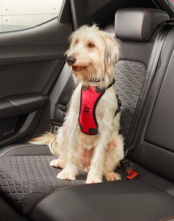 accessorio imbragatura per cani per auto seat 