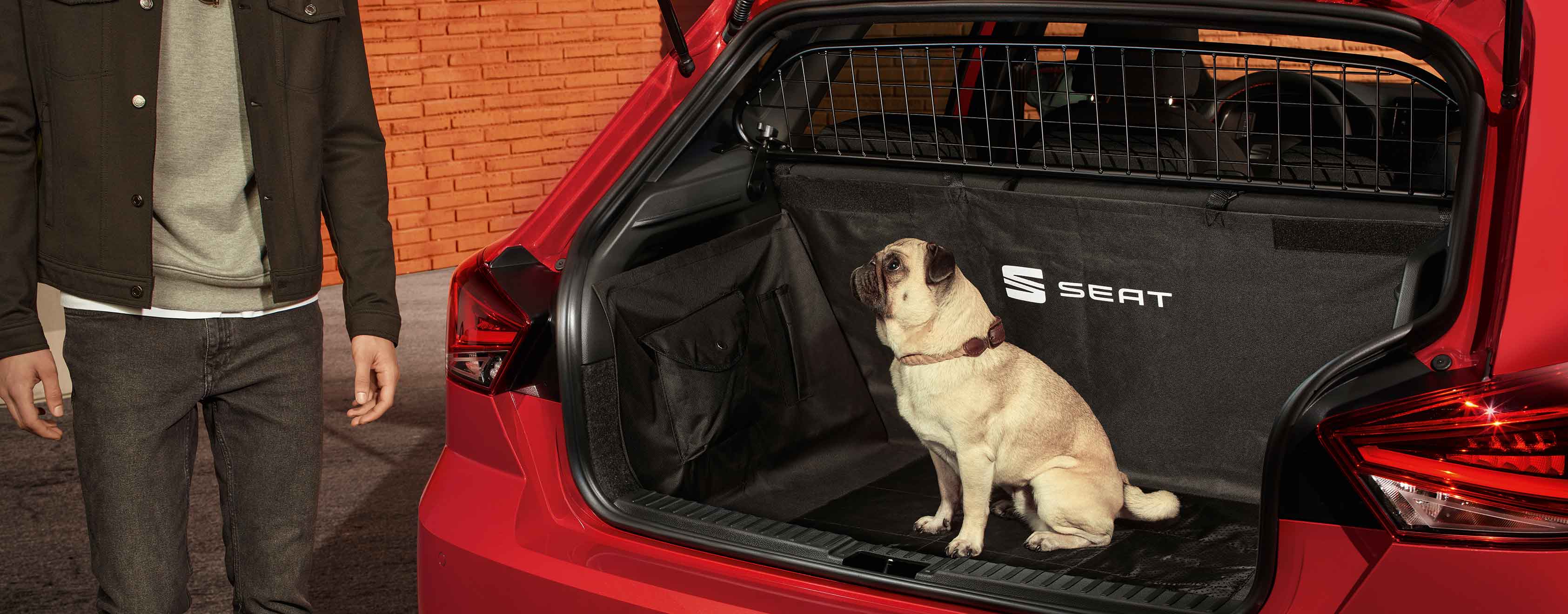 Hund sitzt hinter Trenngitter im Kofferraum des SEAT Ibiza
