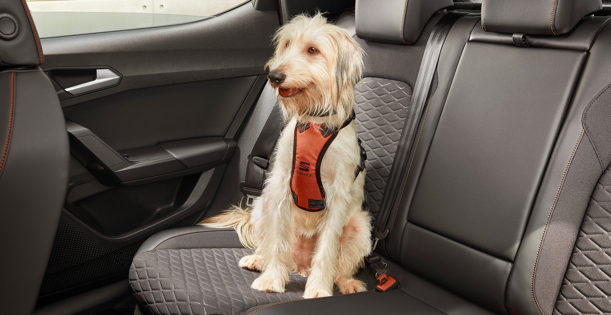 SEAT Leon Sportstourer -  Sicherheitsgeschirr für Hunde