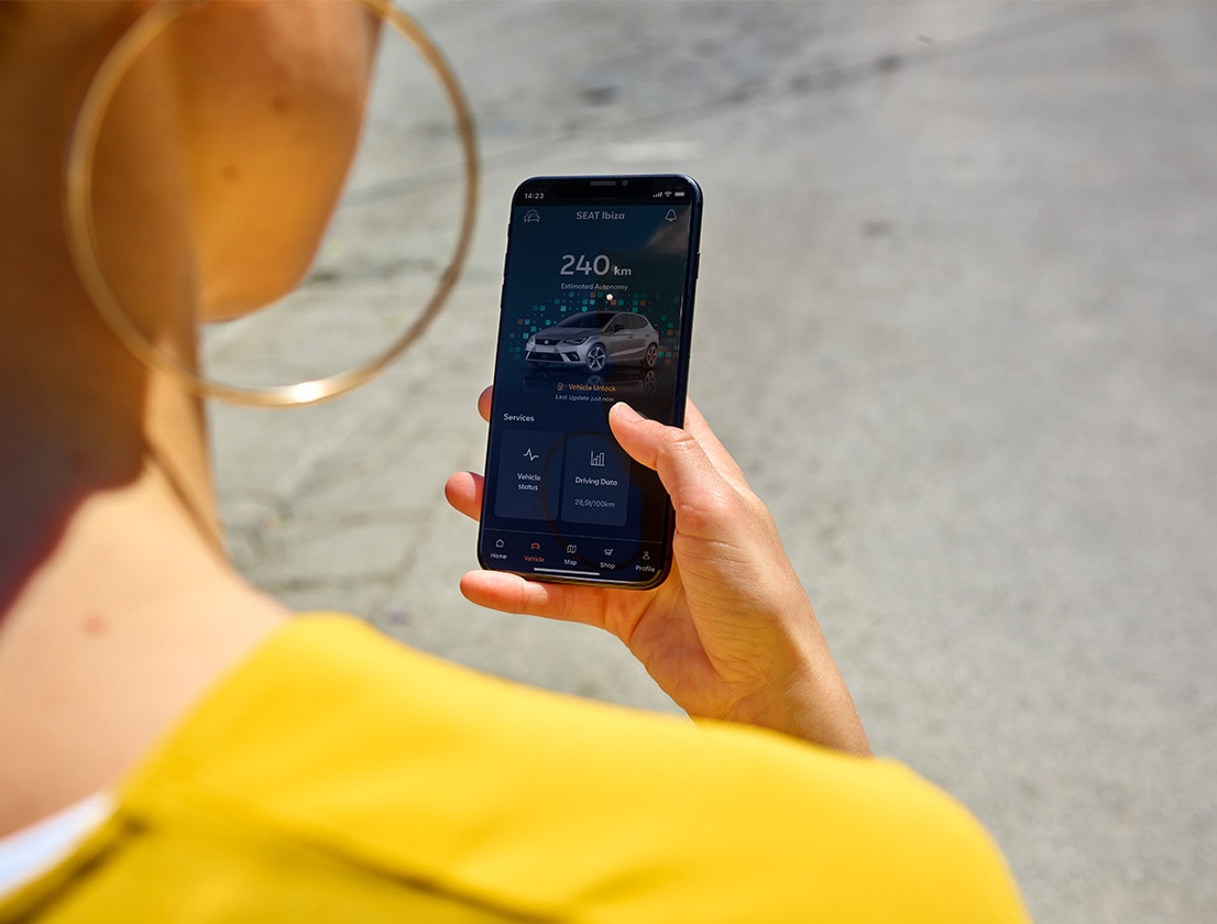 Funzionalità da remoto con CONNECT Standard