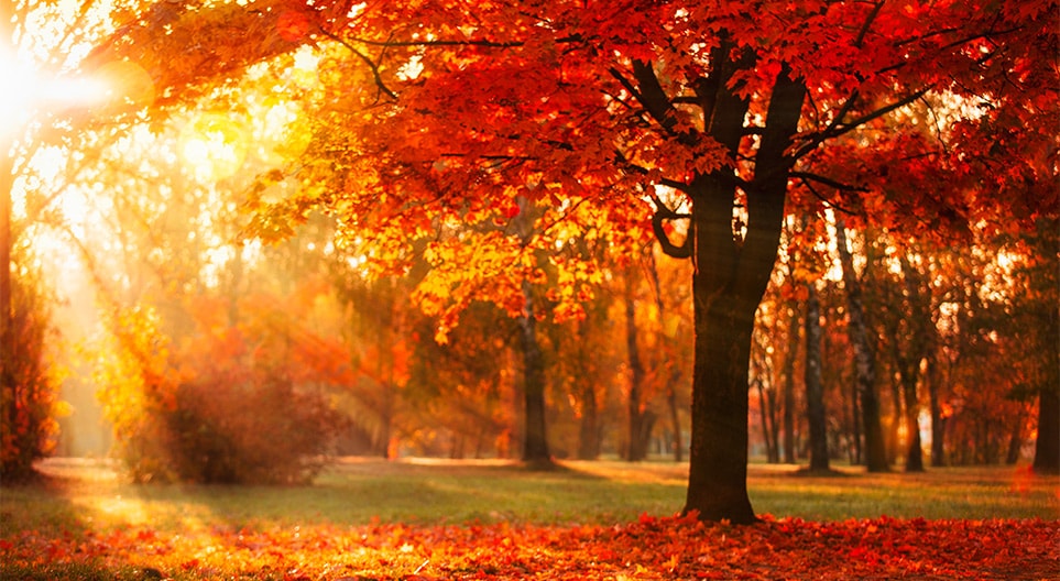Herbst 2023